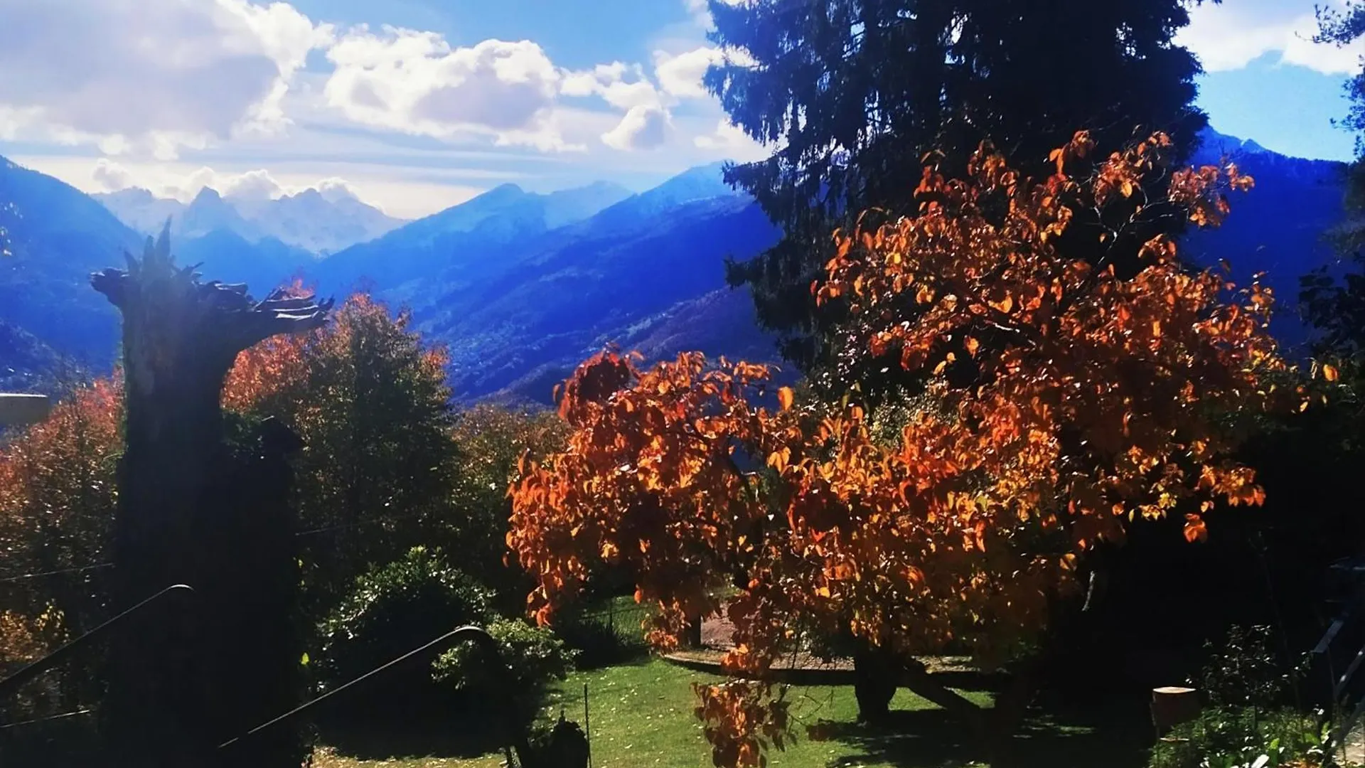 Serok: Casa Nel Bosco Con Bio Sauna Civo 0*,
