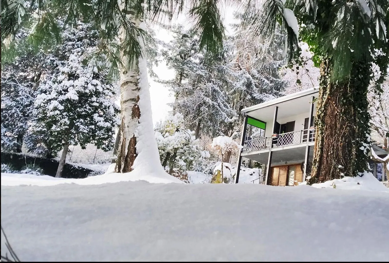 Апартаменты Serok: Casa Nel Bosco Con Bio Sauna Civo